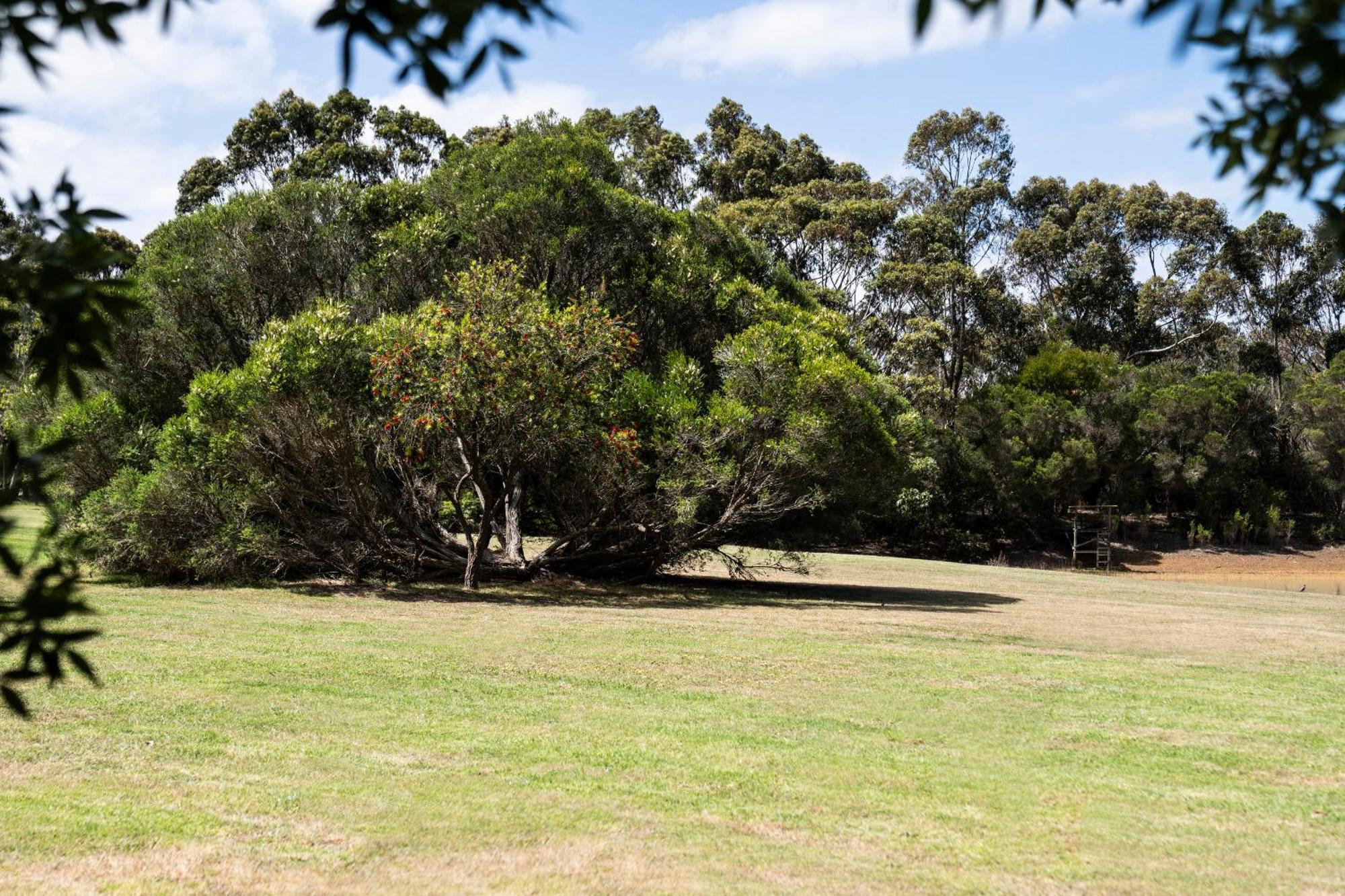 Bells Beach Cottages Bellbrae Esterno foto